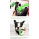 thumbnail image 5 of Cepillo de dientes para perros, juguete masticable multifuncional para limpiar molares de cachorros, palillo dental, juguetes para el cuidado bucal de perros pequeños y medianos (verde), 5 of 5