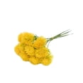 thumbnail image 1 of Injueey 10 paquetes/lote Life To Home con flores de plástico taraxacum simuladas plantas artificiales ramos de plástico Decoración amarillo, 1 of 6