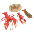 thumbnail image 2 of Figuras De Ciclo De Vida De Cangrejos De Río, Modelo De Ciclo De Crecimiento Duradero Lindo Exquisito Para Niños Juguete Educativo Para Decoración Del Hogar ANGGREK Life Cycle Figurines, 2 of 8