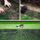 thumbnail image 5 of Epine Alfombra Antigatos Rejilla de Jardín Anti Perros, Gatos Mascotas 200 x 30 cm, 5 of 5