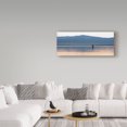 thumbnail image 3 of Trademark Fine Art 'Bird On A Lake 2' Canvas Art by Jason Matias, 3 of 3