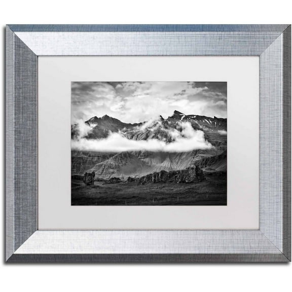 Trademark Fine Art 'Ephemeral' Canvas Art by Philippe Sainte-Laudy, White Matte, Silver Frame