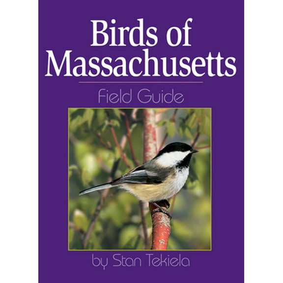 Pre-Owned Birds of Massachusetts Field Guide (Paperback) 1885061889 9781885061881