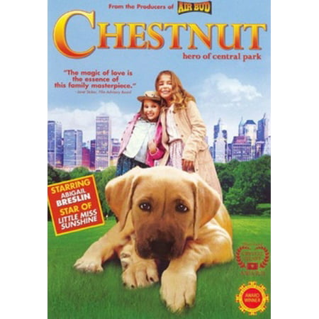 Chestnut: Hero of Central Park (DVD) (Best View Of Central Park)