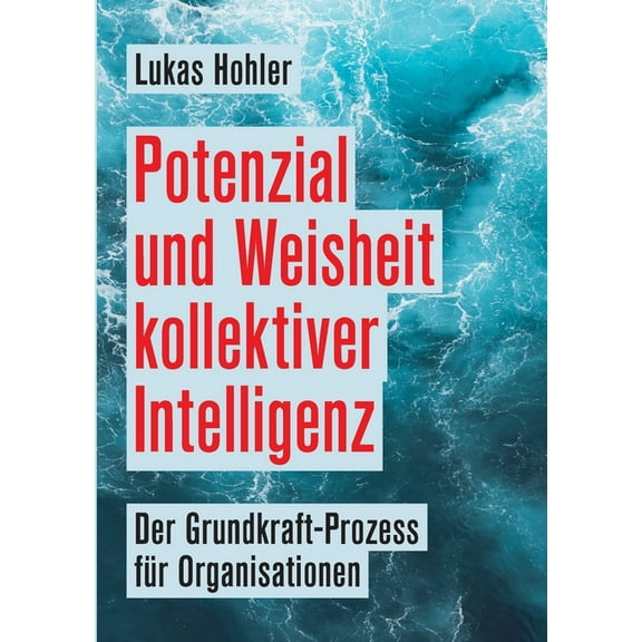 Potenzial und Weisheit kollektiver Intelligenz: Der Grundkraft-Prozess für Organisationen (Paperback)