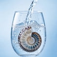 thumbnail image 7 of 2D Stemless Wine Glasses, Ocean Series Stemless Drinkware Tumbler, Beach Themed Decor Bar Glass Cup, Coastal Housewarming Gift for Ocean Lovers, 7 of 7