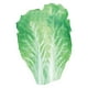 thumbnail image 1 of Disfraz de comida para adultos, disfraces de verduras, ropa, disfraz de cosplay de Halloween,, 1 of 7