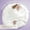 White, variant on Premium High-Loft Comforter, White, Cloud-Like Comfort, Weightless Embrace for Restorative Sleep.(White & Queen)
