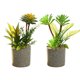 thumbnail image 1 of Simulación con varilla, combinación suculenta, bonsái, flor de simulación, decoración artificial creativa para el hogar, 2 uds., 1 of 5