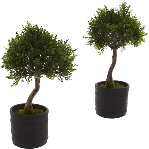 Nearly Natural Cedar Bonsai with Planter, 2pk by Nearly Natural