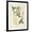 Black Frame, variant on Art.com Vintage Flowering Trees VII Art Print by 0 Unknown, 12" x 16"