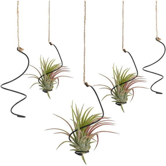 20Pcs Black Spiral Hanging Plant Display with Jute Ropes Hanging Air Tillandsia Holder Succulent Display Container Plants Wall Holder for Small Plant Home Office Desk Decor diy