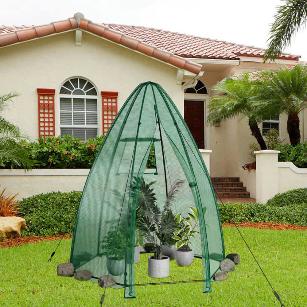 Spaco 5.5 x 5.5 x 6 Feet Portable Mini Greenhouse with All-Weather PE Cover, Mini Greenhouse with Zippered Door and Roll-up Window for Outdoor, Green