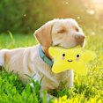 thumbnail image 4 of Dog Interative Star Shaped Squeaky for Cat Teaser Soft for Dogs Puppy Training, 4 of 4