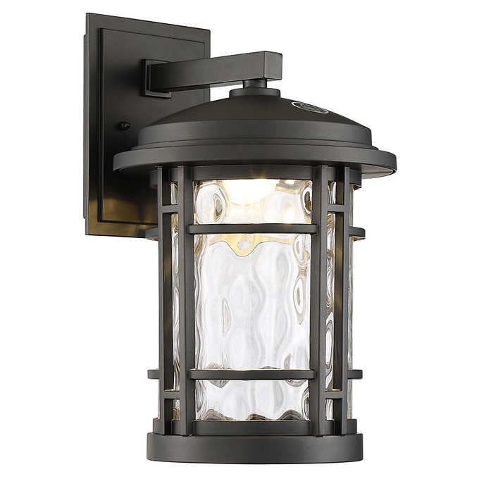 Altair 9" LED Outdoor Wall Lantern 772 Lumens Burnished Bronze Finish