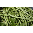 thumbnail image 3 of Bean SEEDS --Contender Bush Bean- 100 seeds- 6-8 inch stringless pods produce a week ahead of other beans-  Tasty fresh canned or Frozen, 3 of 4