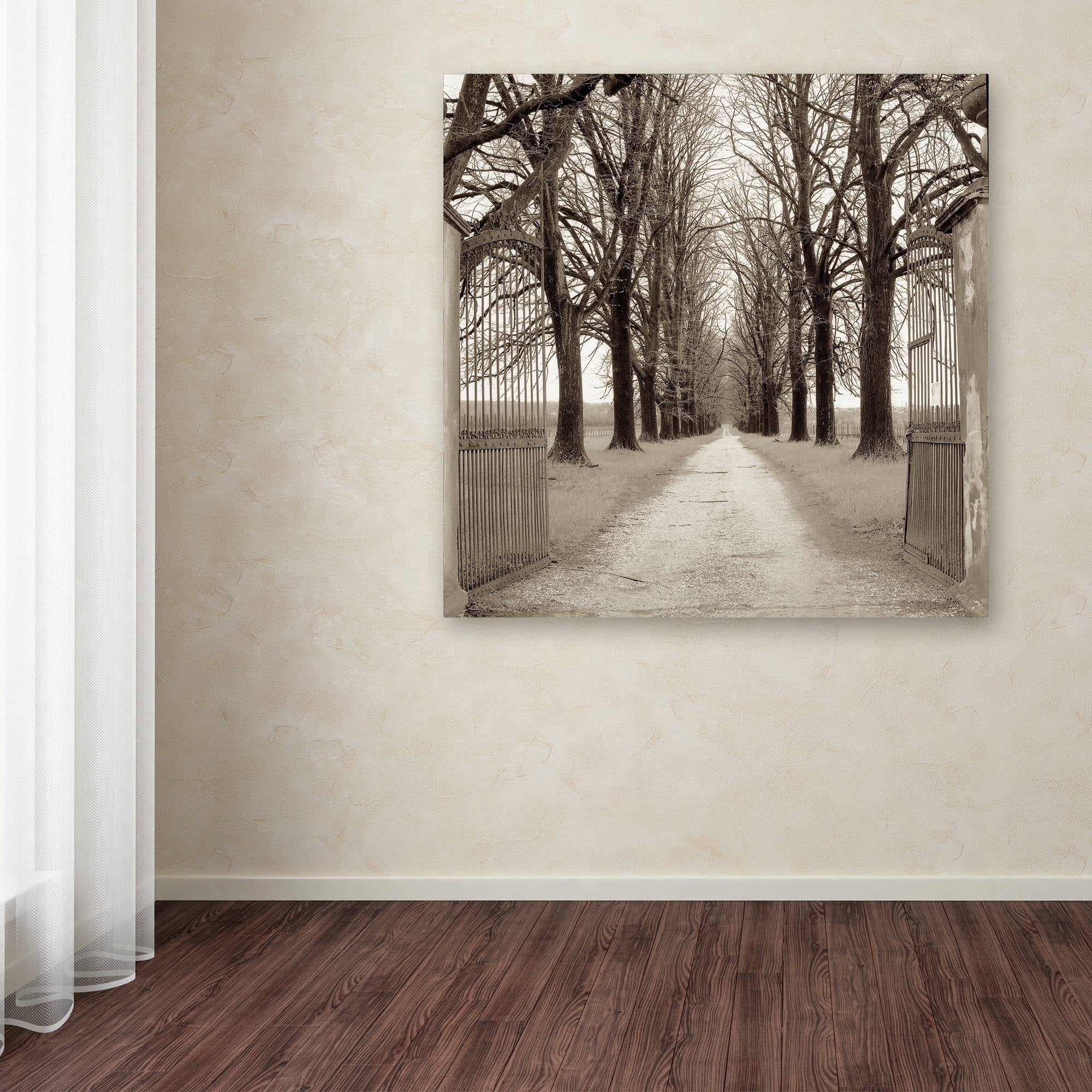 Trademark Fine Art "Veneto Giardini I" Canvas Art by Alan Blaustein