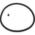 thumbnail image 1 of National Presto Pressure Cooker Sealing Ring 9919, 1 of 2