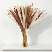 Sanmadrola 85 Pcs Natural Dried Pampas Grass Boho Home Decor Dried Flowers for Wedding Floral Arrangements Wall Bathroom Décor Spring Decor
