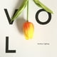 thumbnail image 3 of Naiovety Mini flor Artificial de un solo lirio, tulipán, flor monarca de PU, decoración Floral para el hogar y la Oficina, decoración para Flores artificiales naranja, 3 of 6