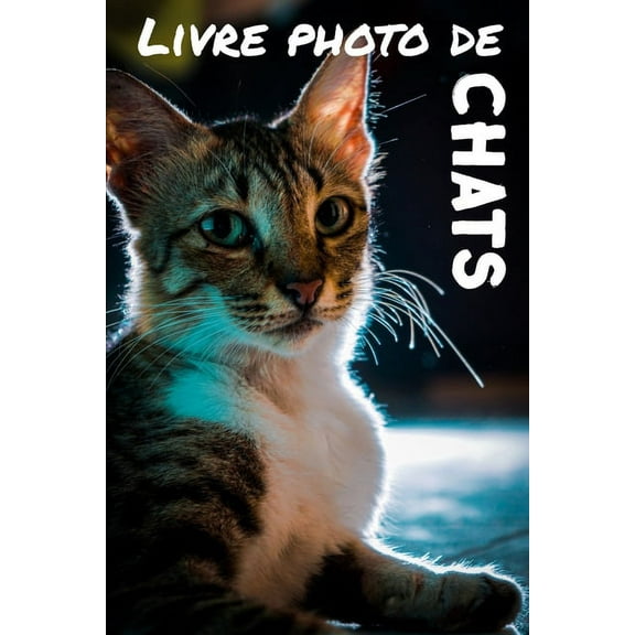 Livre photo de chats: Livre d'images pour enfants - Livre d'images pour séniors atteint de démence ou d'alzheimer - Parfait pour se relaxer (Paperback)