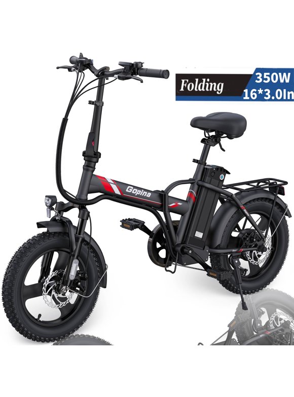 Electric Bikes