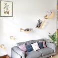 thumbnail image 6 of Cat Wall Shelves and Perches for Wall, Solid Wood Wall Mounted Cat Furniture, Set of 5 Cat Climbing Shelves with Moon Cat House, Cat Bridge Ladder, Cat Hammock and Cat Scratching Post, 6 of 7