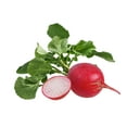thumbnail image 4 of Earthcare Seeds - Radish Cherry Belle 500 Seeds (Raphanus Sativus) Heirloom - Open Pollinated, 4 of 5