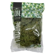Quality Growers The Habitat Life - Natural Mood Moss for Terrariums – Moisture-Retaining, Soft Bedding for Reptiles and Amphibians, 100% Dye-Free, Natural & Safe, (Small)