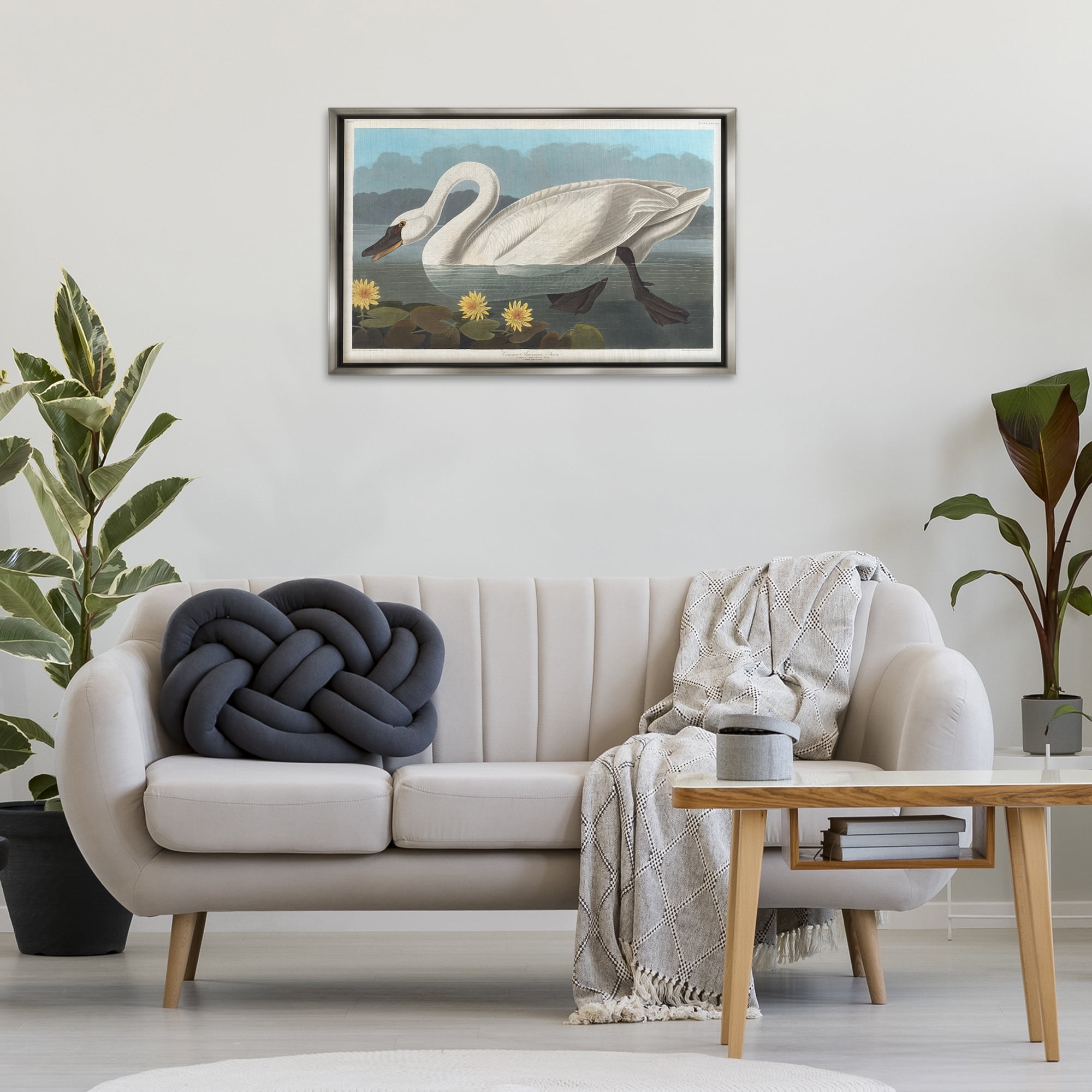 Stupell Industries Classic Common American Swan Animals Painting Gray Floater Framed Canvas Art Print Wall Art, 31 x 21