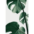 thumbnail image 2 of Artographie Studio 17x24 Black Modern Framed Museum Art Print Titled - Monstera Natural 37, 2 of 4