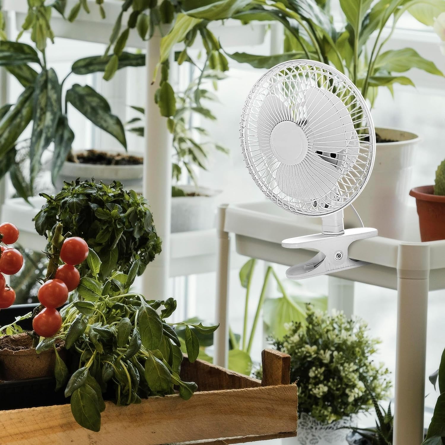 Joey'z 6-Inch Mini Clip-On Desk Fan, 2-Speed Whisper Quiet Motor, Adjustable Tilt, 360° Rotating Stand, Break-Resistant ABS Blades, White, 2 Pack