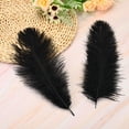 thumbnail image 3 of Uxcell 100 Pcs Natural Ostrich Feathers Bulk 8-10 Inch Large Ostrich Feathers for Crafts Home Decoration Black, 3 of 7