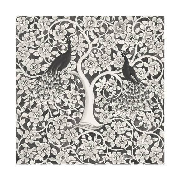 Miranda Thomas 'Peacock Garden VII BW' Canvas Art