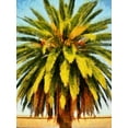 thumbnail image 2 of Bolokofsky, Ronald 19x24 Black Ornate Wood Framed with Double Matting Museum Art Print Titled - California Palm, 2 of 4