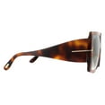thumbnail image 4 of Tom Ford Women's Havana Quinn SQUARE Sunglasses, 57/17/135, 4 of 6