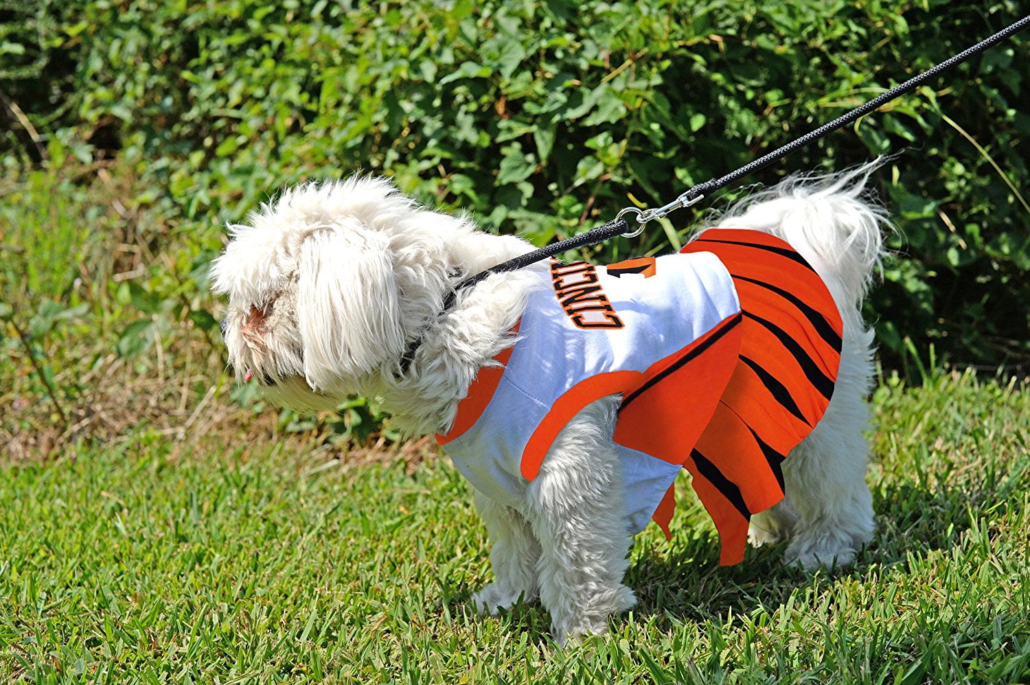 Cincinnati Bengals Cheerleader Dog Dress - Pet Costume Center