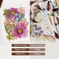 thumbnail image 3 of Kit de conservación de flores Aboofx Set de almacenamiento de flores secas, 3 of 7