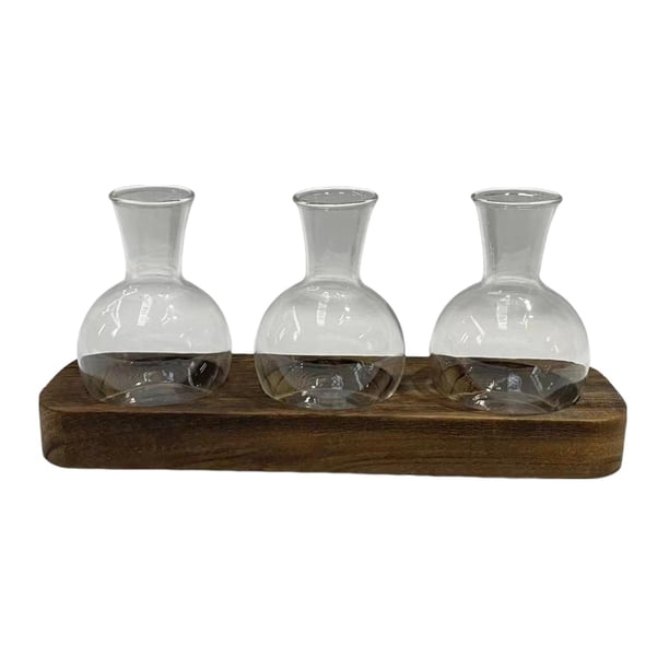 Macetero de terrario de vidrio, florero hidropónico, estaciones de propagación de plantas, tarro de terrario de 3 piezas con soporte de madera para el