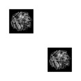 thumbnail image 1 of Vogacara Paquete de 100 uñas postizas largas claras de longitud completa Artificial transparente bailarina uñas postizas para salones de manicura arte Transparente 2piezas Vogacara CBP164979, 1 of 5