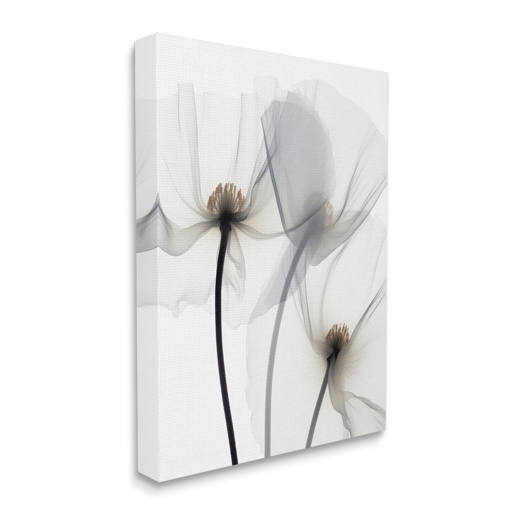 Stupell Industries Modern White Poppies Botanical & Floral Photography Gallery Wrapped Canvas Art Print Wall Art, 36 x 48