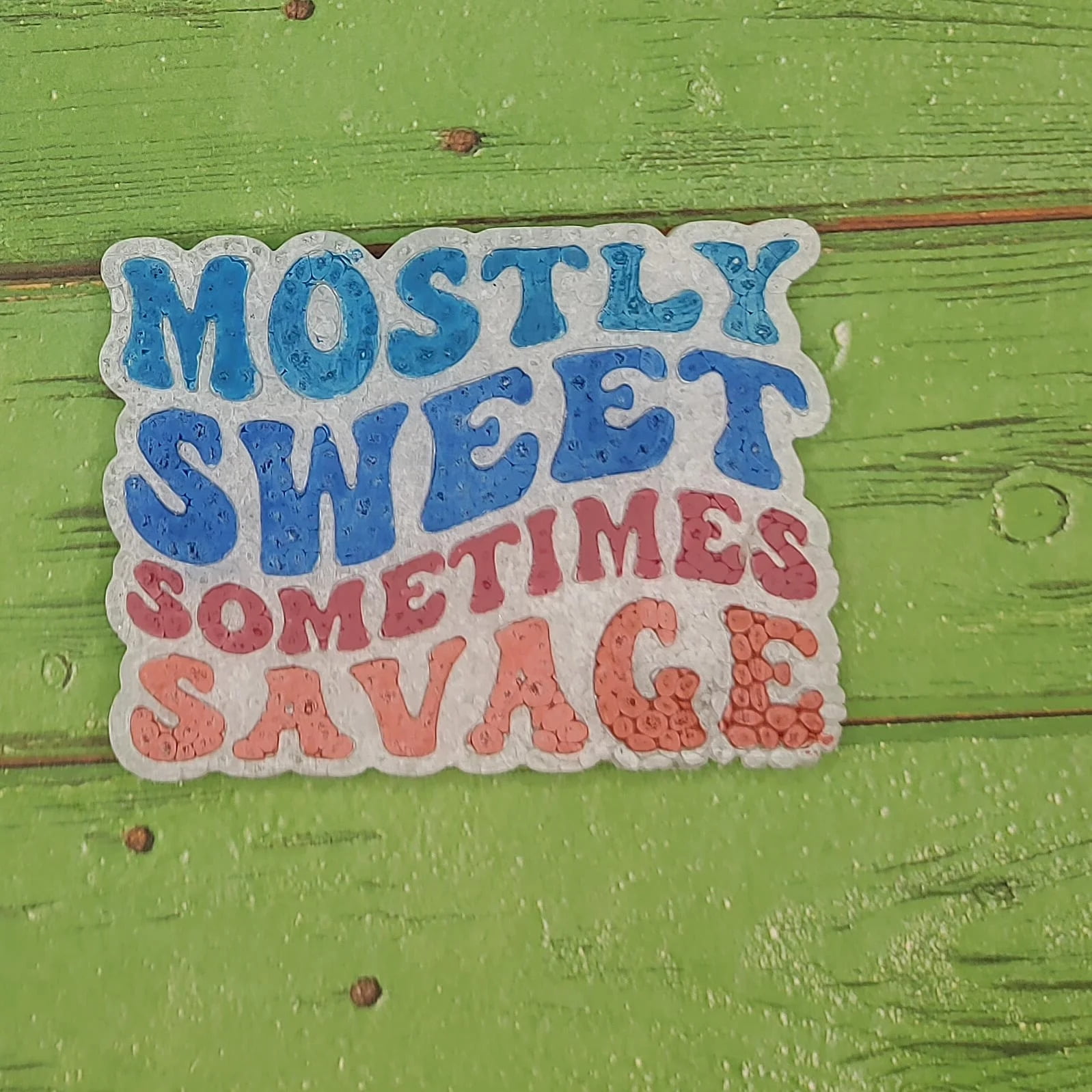 Mostly Sweet, Sometimes Savage Silicone Freshie Mold