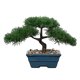 thumbnail image 1 of Árbol Bonsái Artificial de Enebro con Maceta Cerámica Azul, 1 of 6