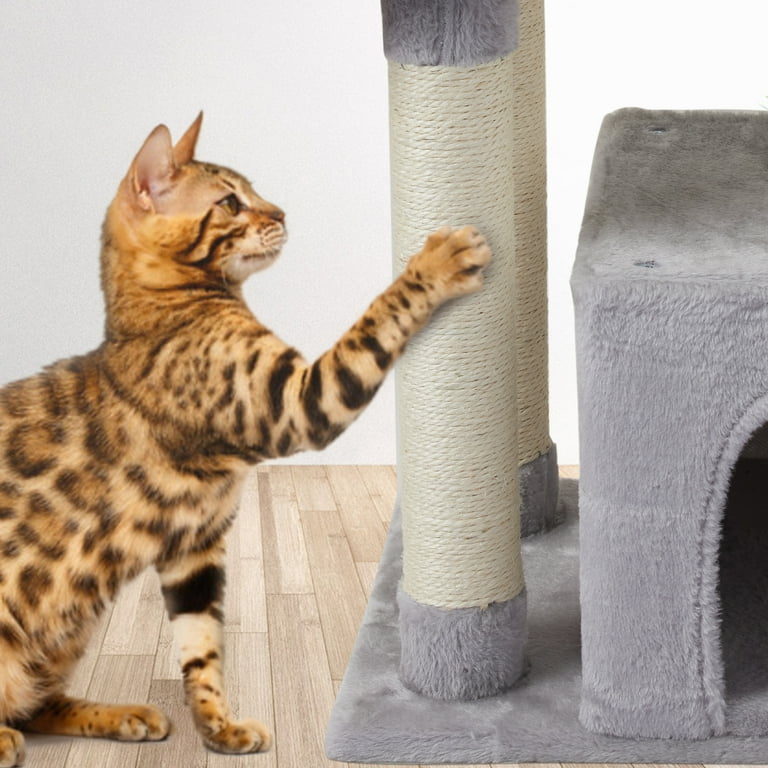 Jump cat cheap condo