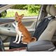 thumbnail image 2 of Funda para asiento de coche para perros para asientos delanteros. Protector de Asiento de Coche para Perros Impermeable y Antirrayas. Se adapta a la mayoría de camionetas, furgonetas y SUV, color, 2 of 5