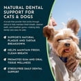 thumbnail image 6 of Animal Essentials Sea Dent for Dogs 70 gm Kelp and Enzymes Teeth Care, 6 of 9