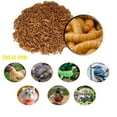 thumbnail image 3 of Amzey 2 Pack 1 lb Dried Mealworms for Chickens, Pet Birds, Chicken Feed, Bluebirds Food, Parakeet Food, Wild Birds Food, 2 lbs Total, 3 of 8