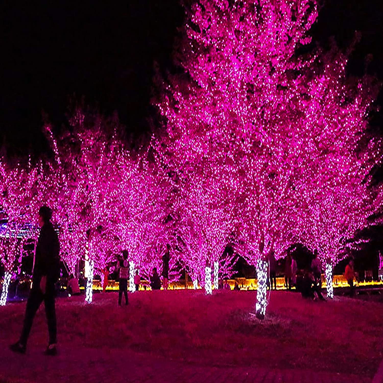 Bincy 33FT LED Christmas String Lights, Pink, 100 Bulbs, 8 Modes photo 4