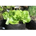 thumbnail image 2 of Smart Pot 5015994 7 gal Salad & Herb Grower Pot, Black, 2 of 3
