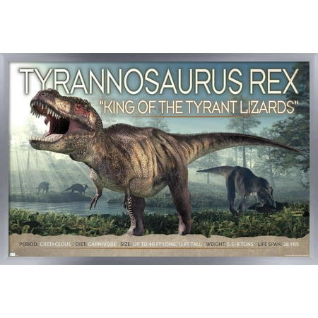 Dinosaurs - T-Rex Wall Poster, 14.725" x 22.375" Framed